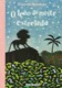O leão da noite estrelada